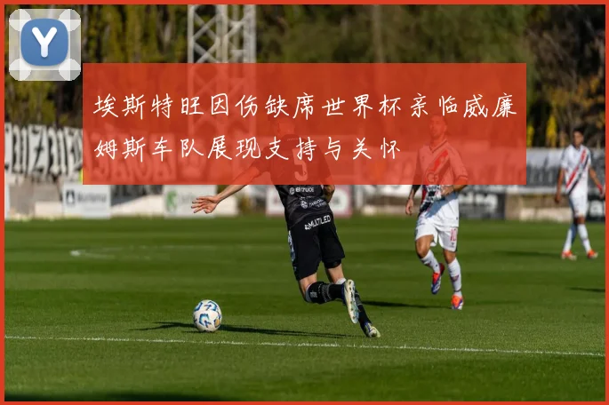 埃斯特旺因伤缺席世界杯亲临威廉姆斯车队展现支持与关怀
